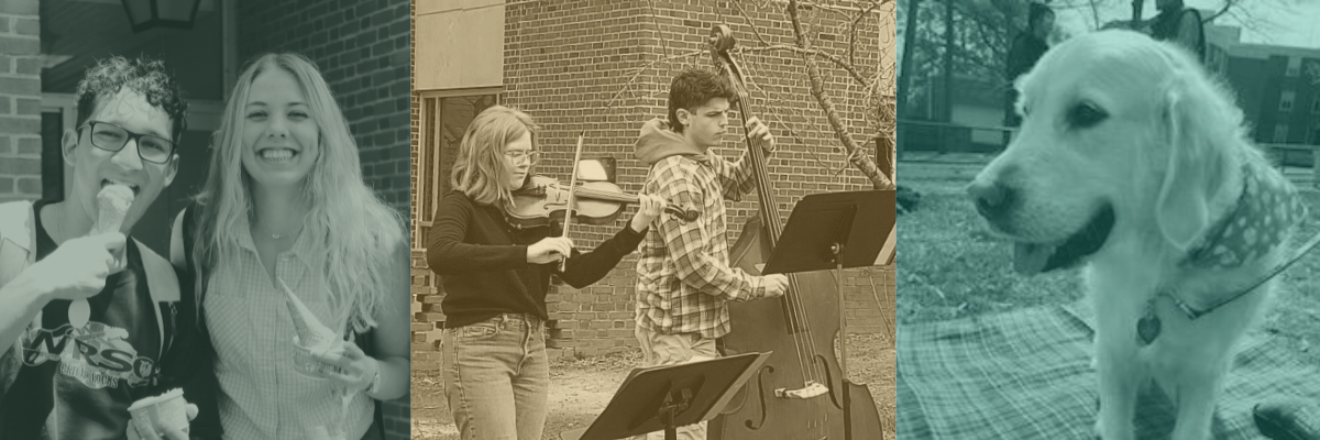 Three images - two students eating ice cream cones, fiddle and upright bass player performing on the lawn, and a closeup of a golden retriever therapy dog