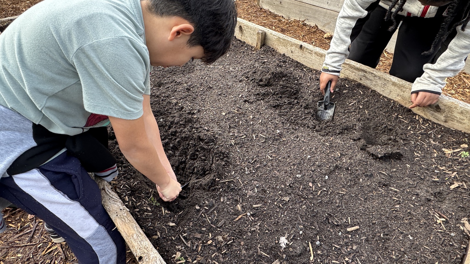 Cultivating Curiosity: Hands-On Learning in the Community Garden
