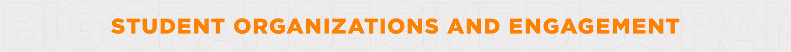 Student Organizations and Engagement Student Organizations and Engagement
