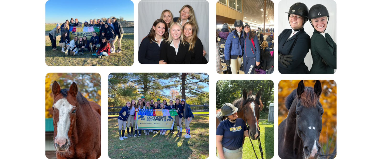 Irish Equestrian Club 2025 · GiveCampus