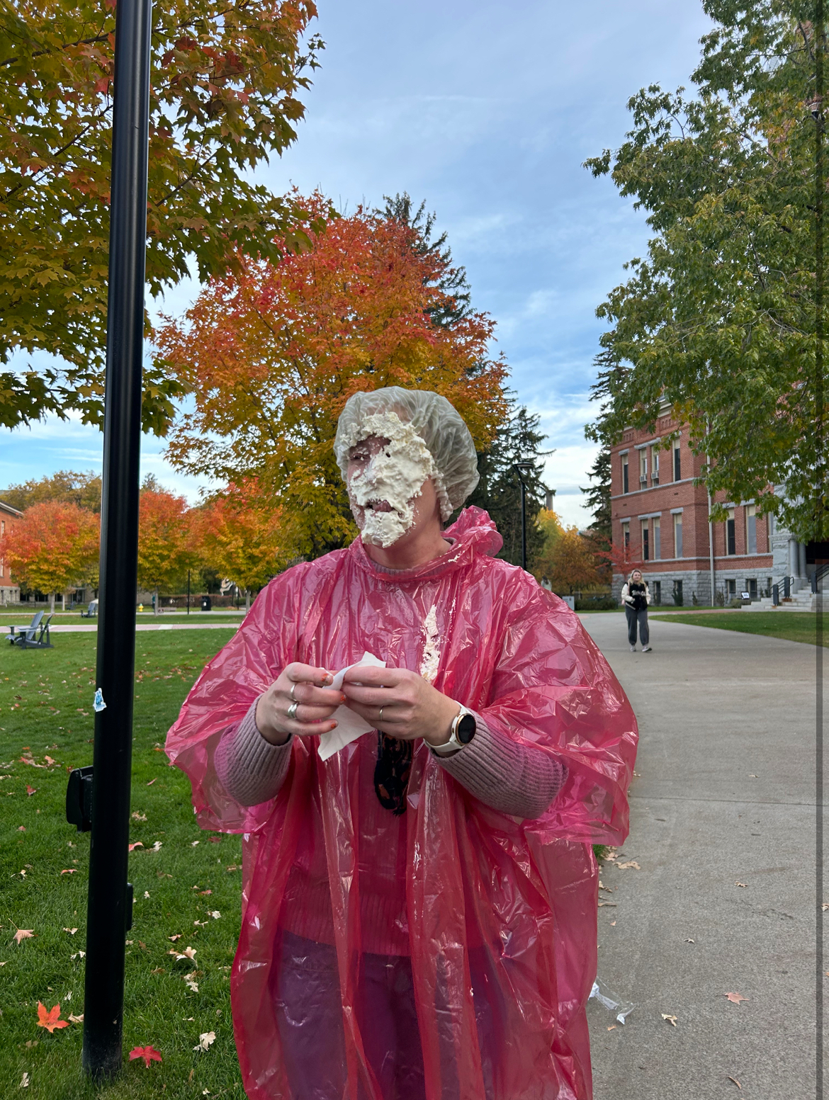 Pie in Face Pie in Face