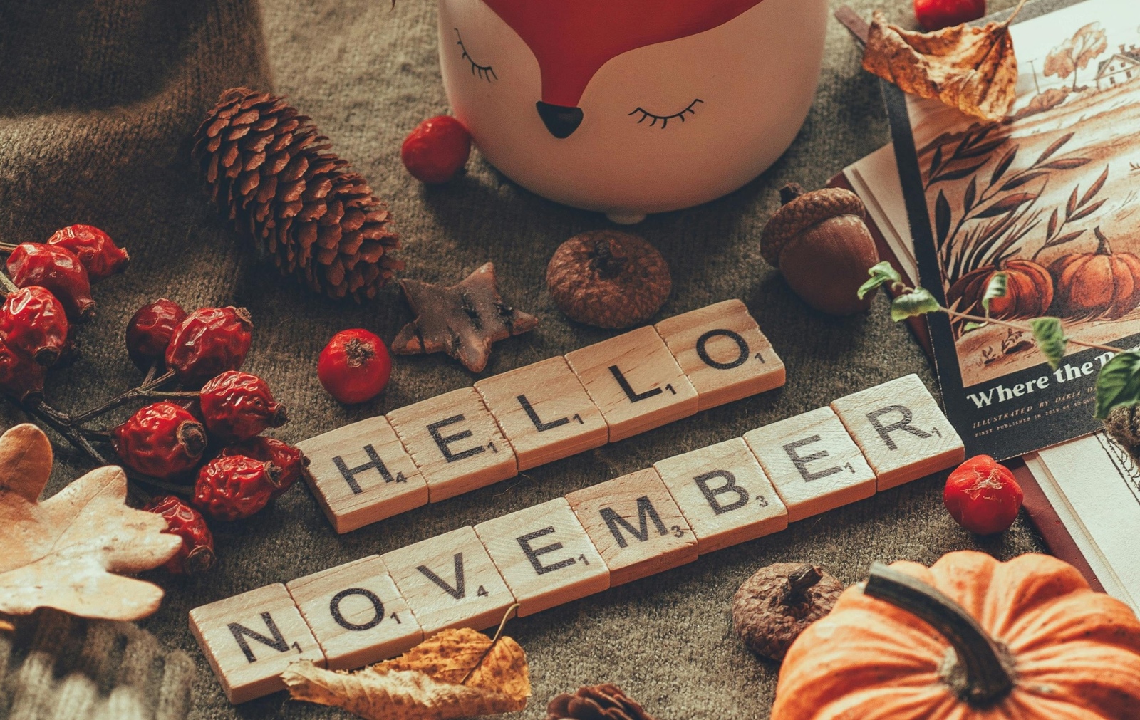 November Celebrations