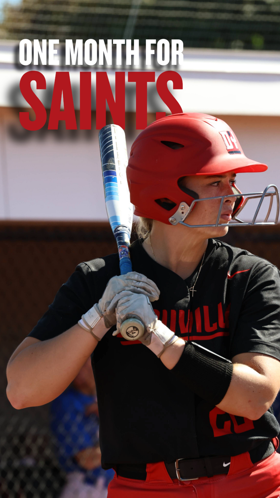 Softball Story
