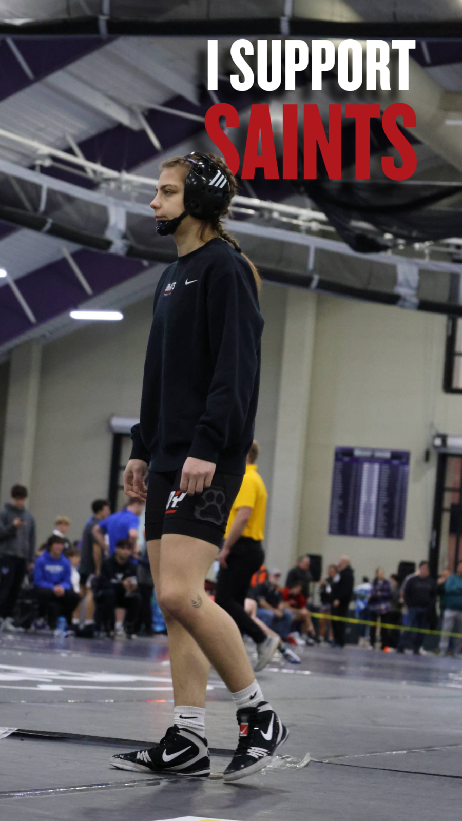 Wrestling Story