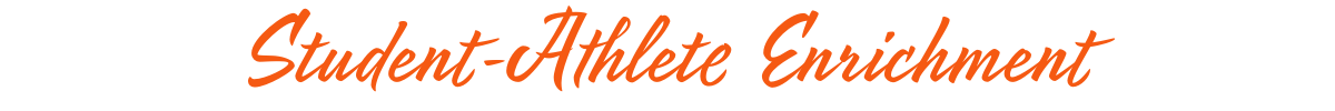 Student-Athlete Enrichment