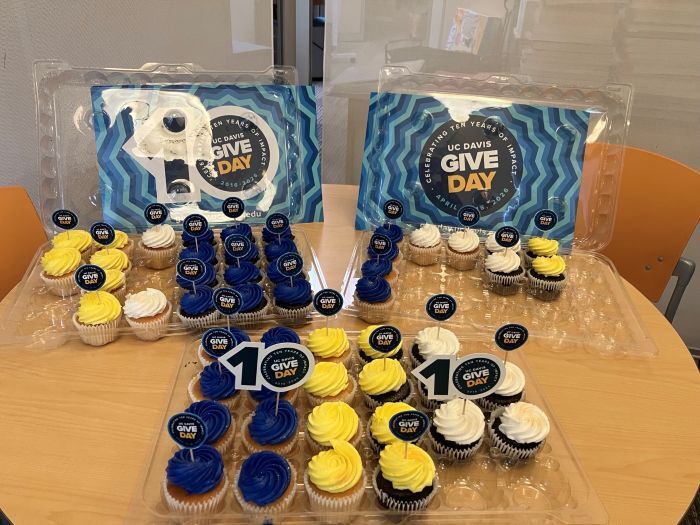 Give Day cupcakes in blue, white and gold
