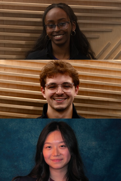 Photo collage of all three project leaders