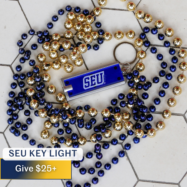SEU keychain key light