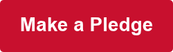 make a pledge