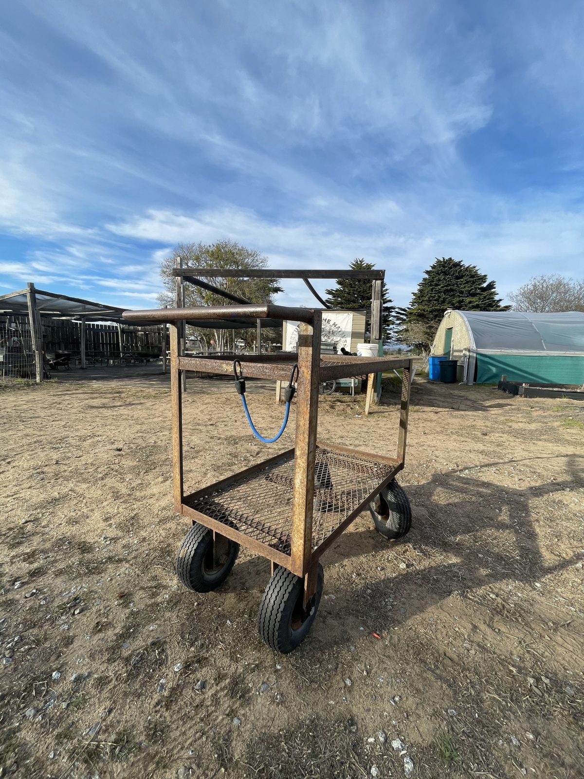 Habitat Stewardship Project: Old to New · GiveCampus