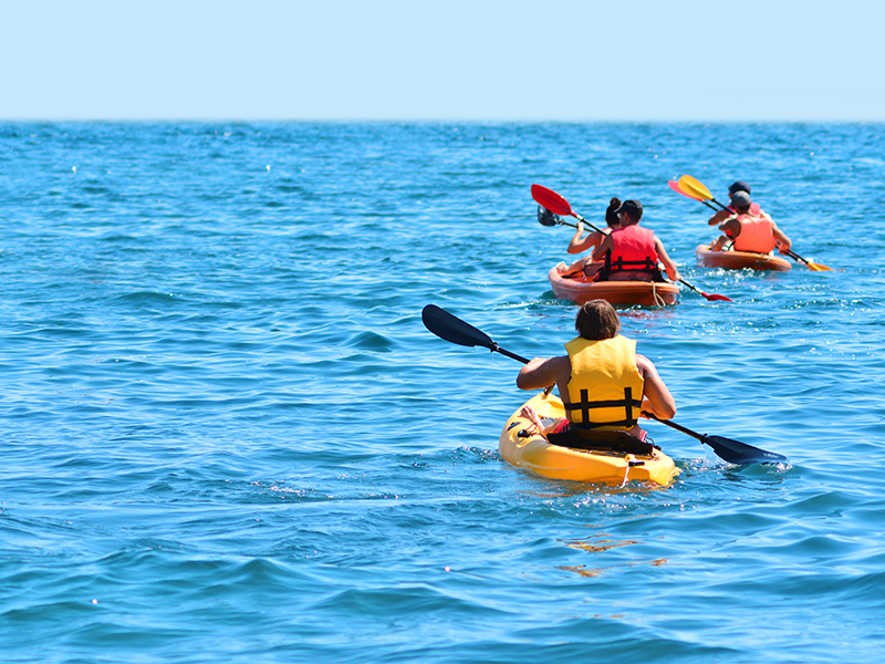 Landing page image for NYC - Annual CMU Kayaking and Sea Food Fest