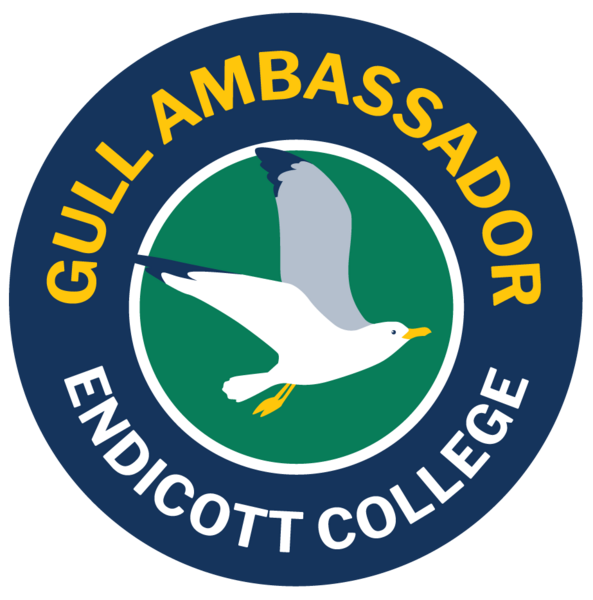 Landing page image for Gull Ambassador Program