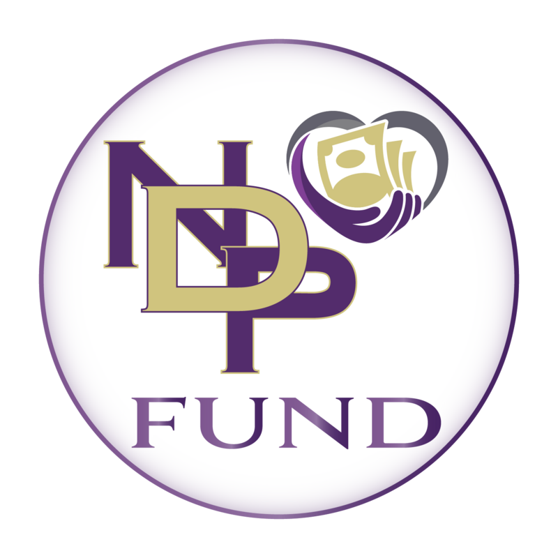 The NDP Fund 2024-2025
